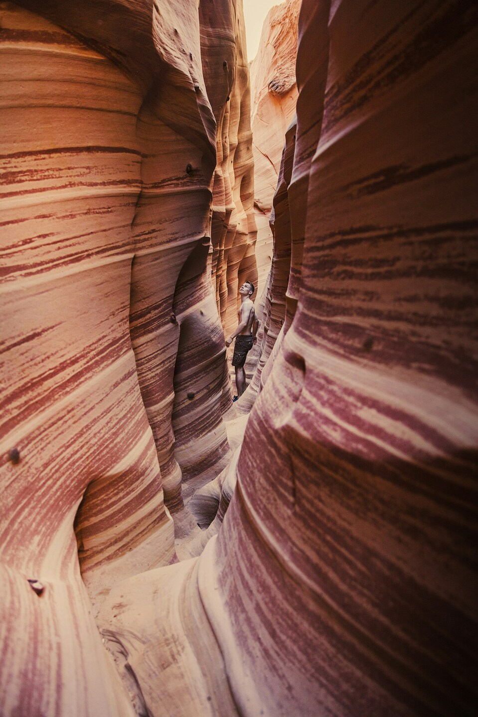 Canyon Landscape
