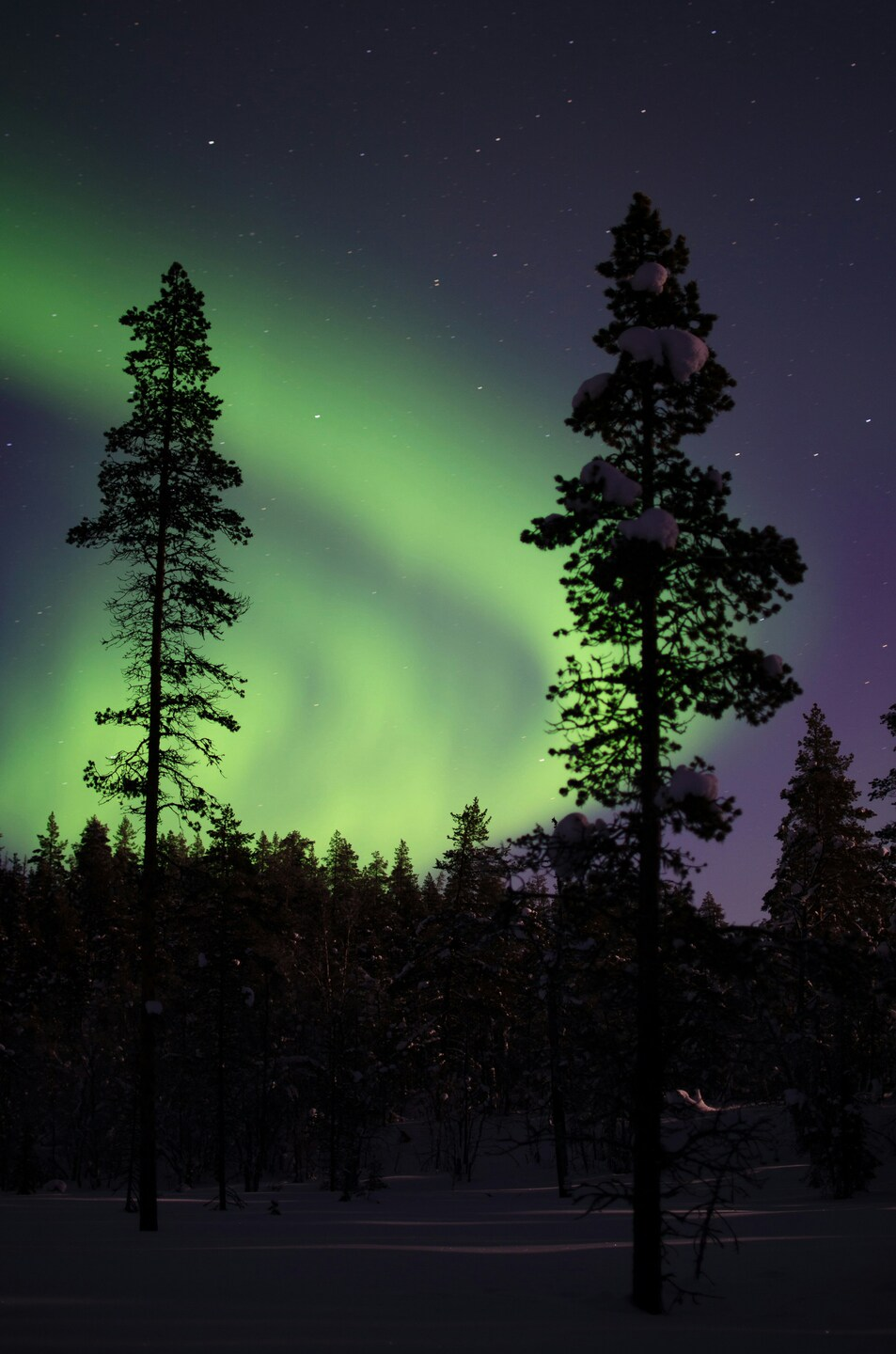Aurora Borealis