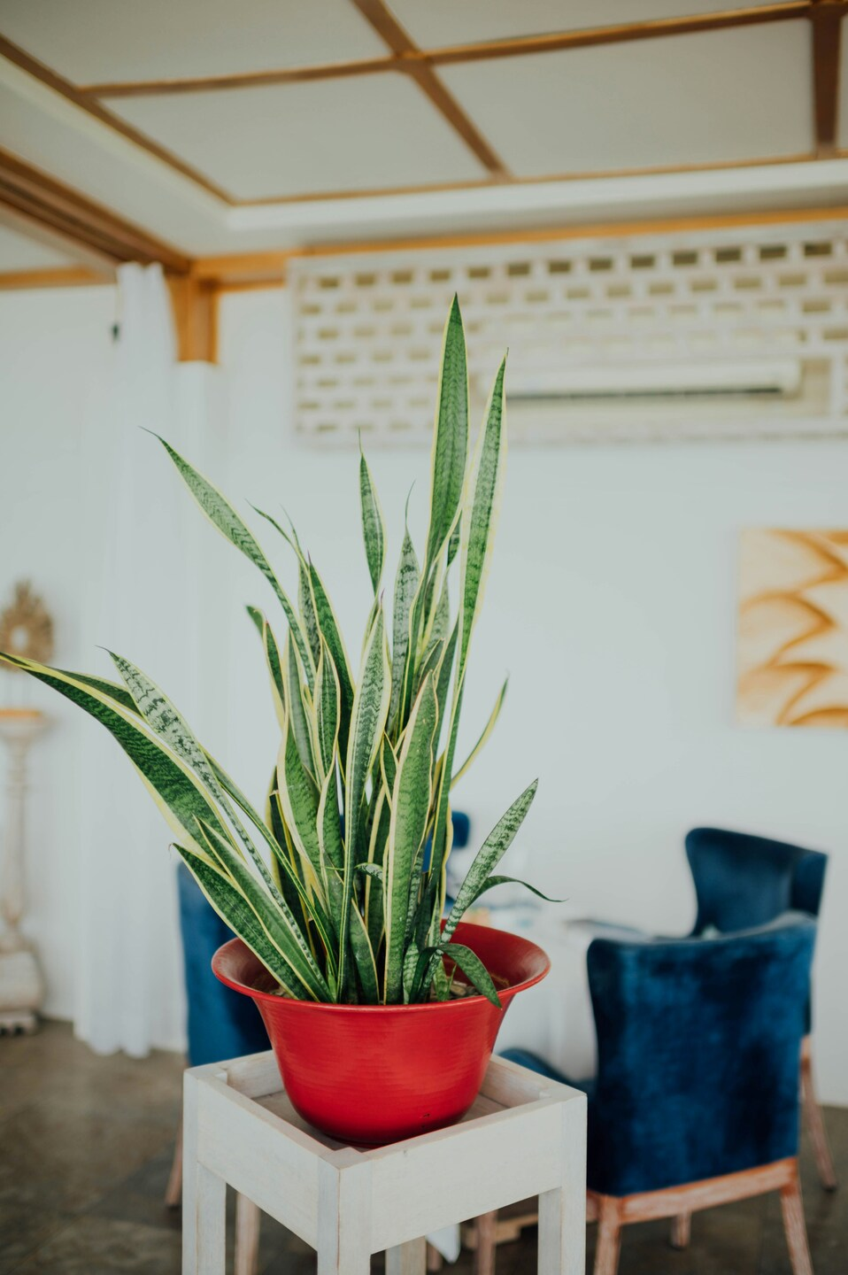 Home Decor