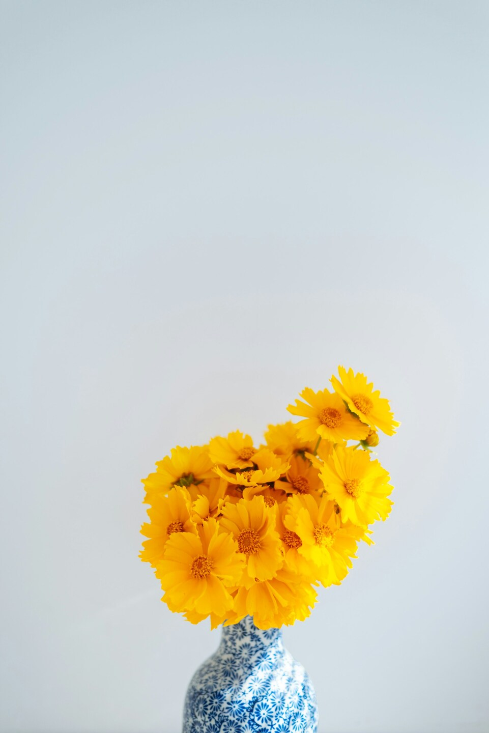 Decorative vase