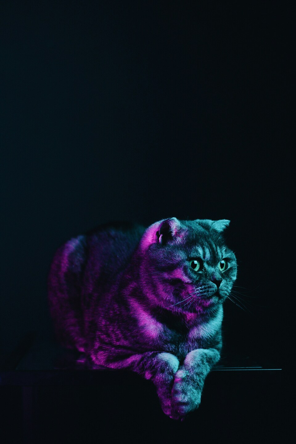Purple