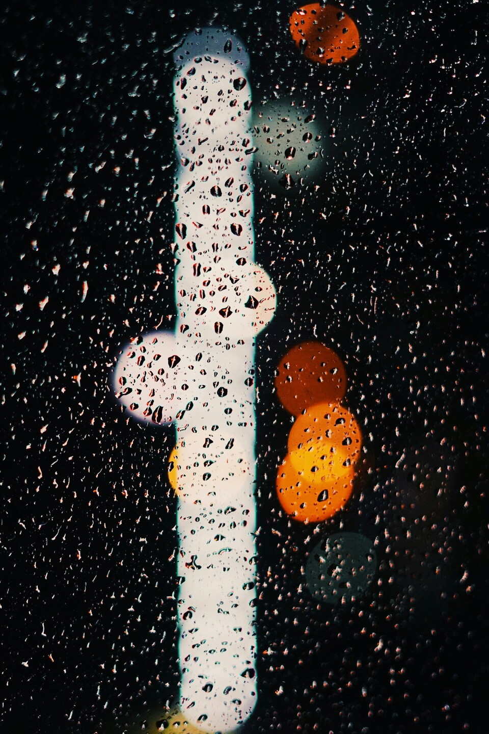 Night
