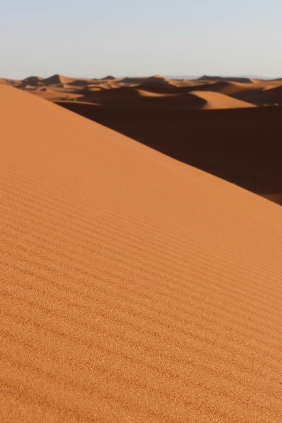 Sand Dunes, Desert