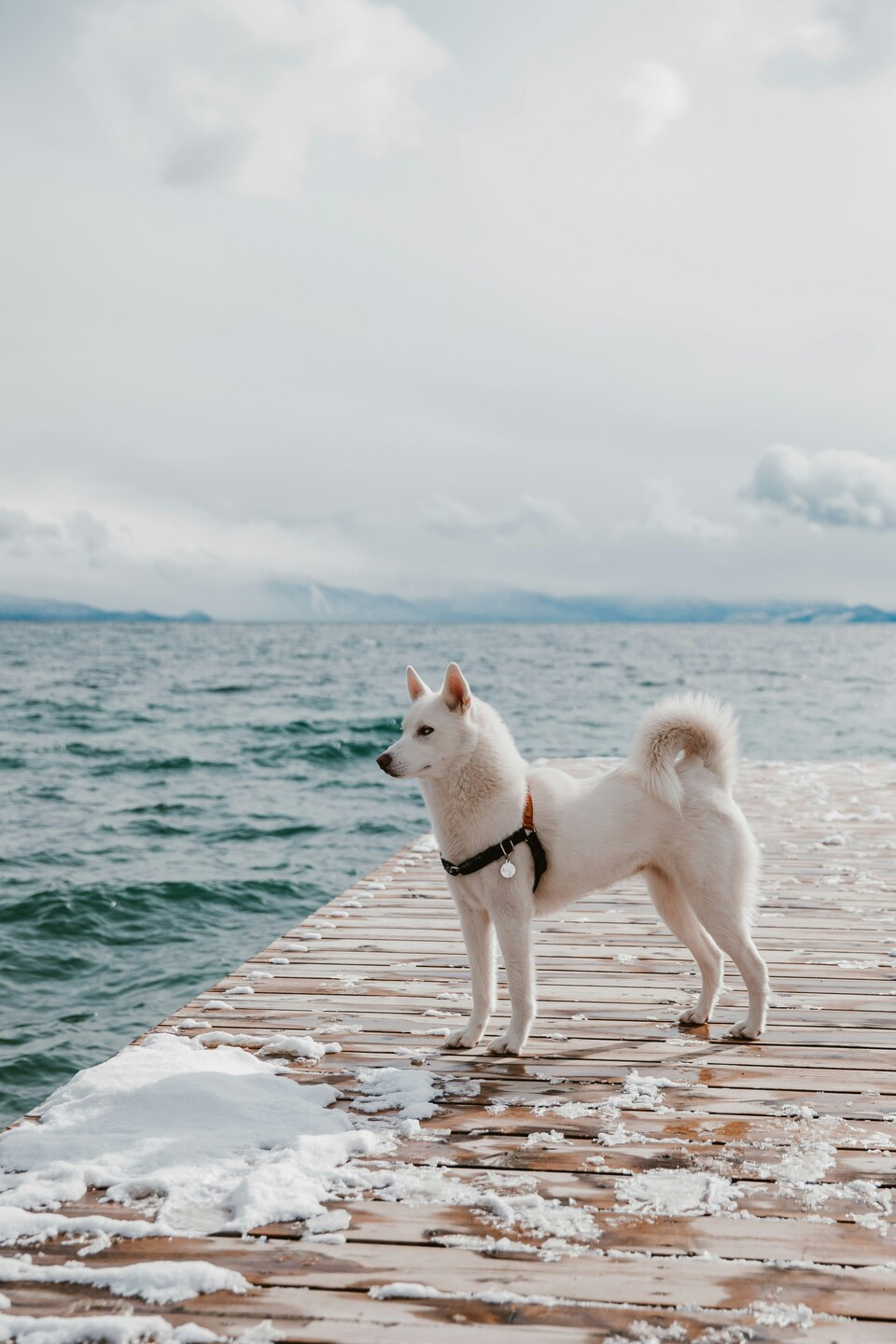 Serene