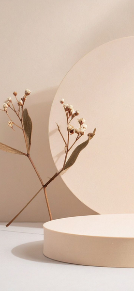 Minimalist Dried Flower Wallpaper | Beige & White Aesthetic Background