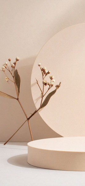 Minimalist Dried Flower Wallpaper | Beige & White Aesthetic Background