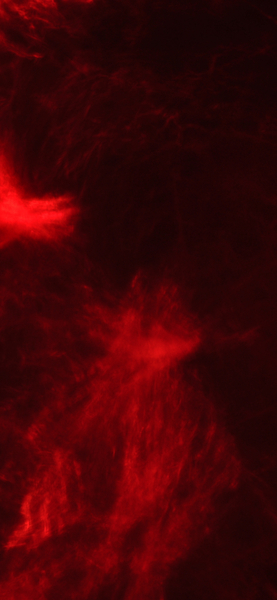 Abstract Red and Black Wallpaper – 4K Ultra HD Background