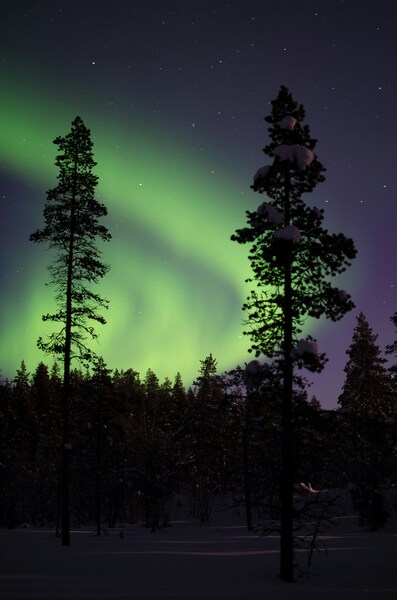 Aurora Borealis Wallpaper – 4K Nature Landscape
