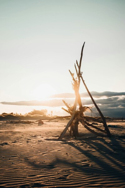 • ‘Serene Sunset Landscape Wallpaper – Aesthetic Silhouette 4K HD