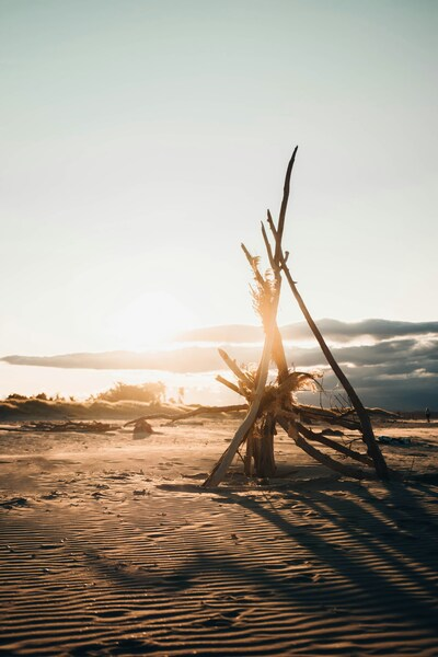 Landscape, Sunset, Silhouette