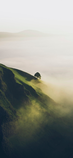 Nature Wallpaper – Aesthetic Landscape with Misty Hillside & Tree in 4K Ultra HD