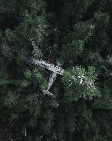 Abandoned Plane in the Forest: An Aesthetic 4K Wallpaper