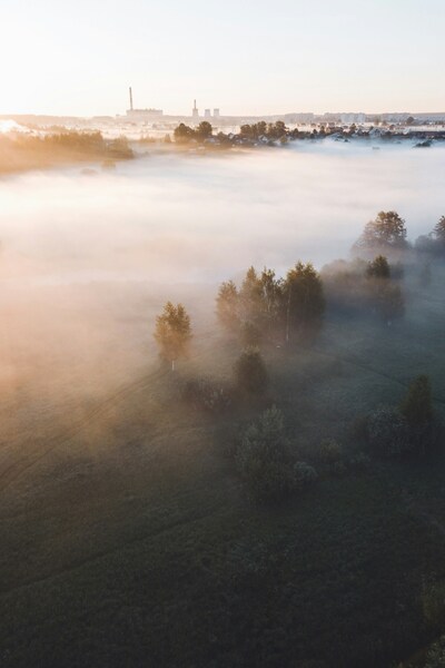 • Foggy Morning Landscape Wallpaper – Aesthetic 4K Ultra HD Background