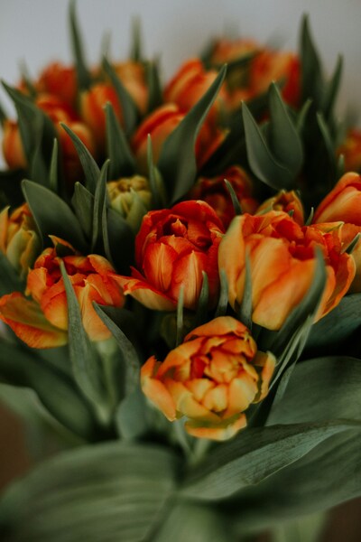 Vibrant Bouquet of Orange and Yellow Flowers – Aesthetic 4K Wallpaper