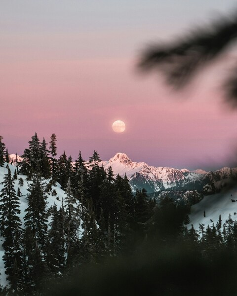 Landscape, Mountains