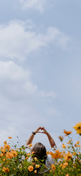 Aesthetic Orange Field Flowers Wallpaper – Ultra HD Background 4K