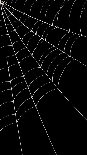 Minimalist Spider Web Wallpaper – Ultra HD Aesthetic Background