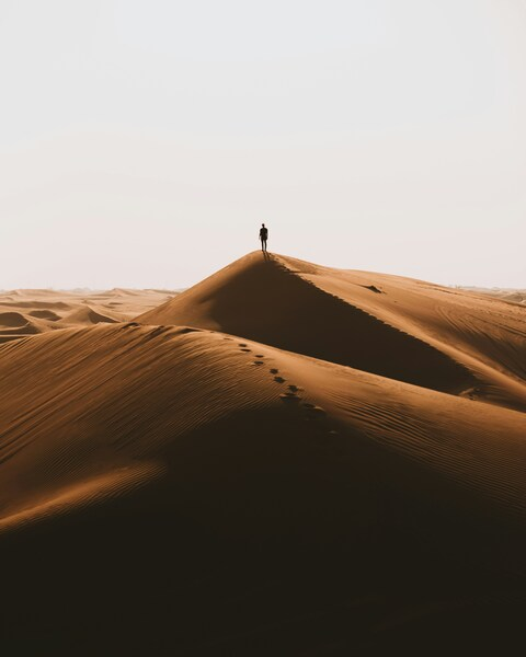 Person, Desert Landscape