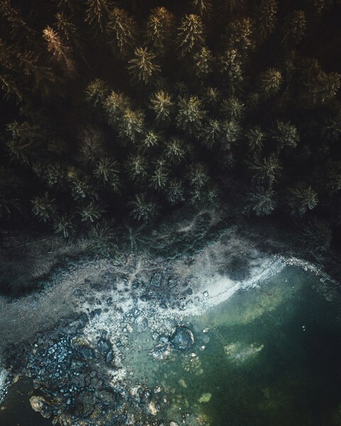 Nighttime Forest Landscape Wallpaper – Aesthetic, Ultra HD, iPhone