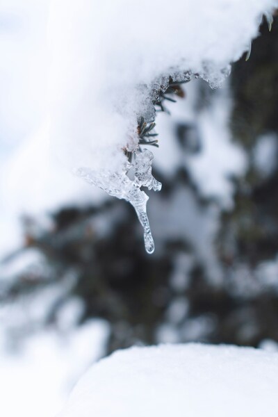 Ice
