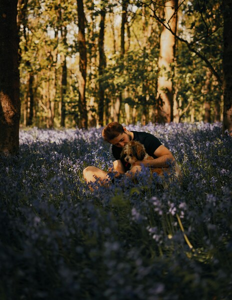 Serene Forest Walk with Dog – Aesthetic 4K Wallpaper