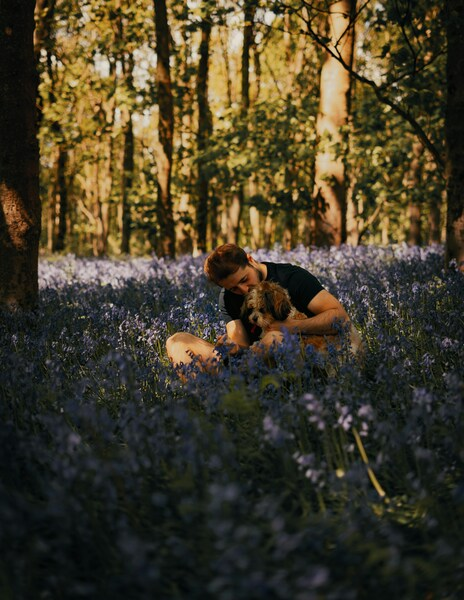 Serene Forest Walk with Dog - Aesthetic 4K Wallpaper