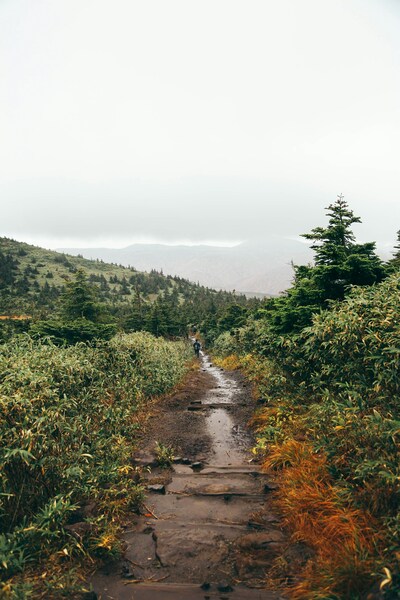 • 4K Aesthetic Wallpaper – Nature Trail in the Mountains • 4K Ultra HD